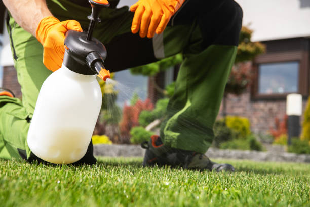 Professional Pest Control in Hartsville, SC