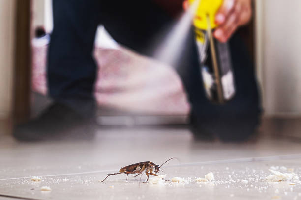 Insect Control in Hartsville, SC